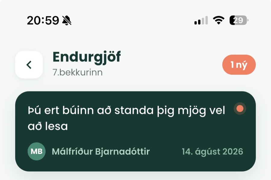 Endurgjöf frá kennara 1